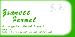 zsanett hermel business card